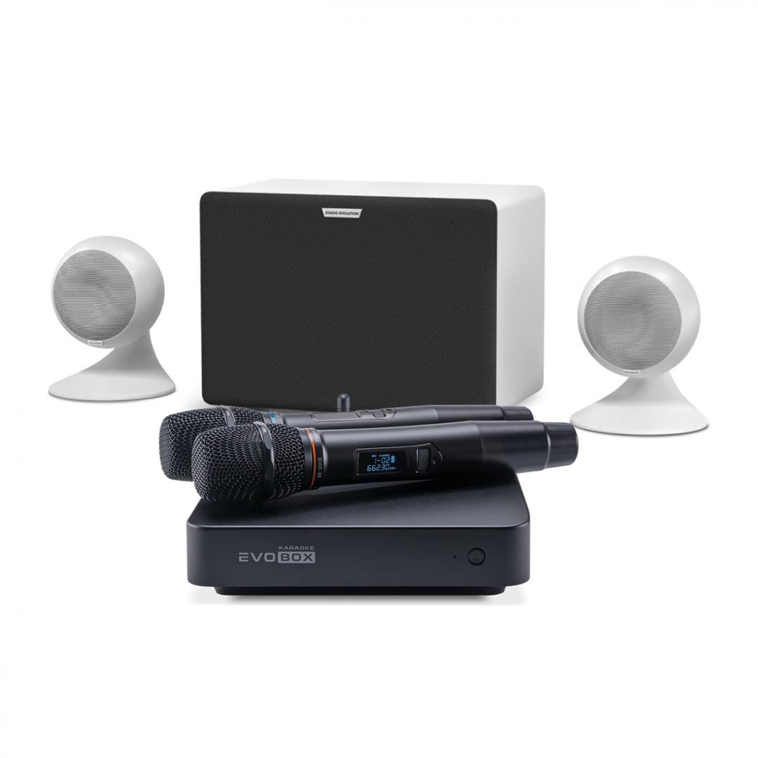 караоке-комплект EVOBOX Classic + EvoSound Sphere 2.1 в Иркутске