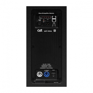 Активная акустическая система AST-310A в Иркутске
